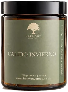 Vela aromática artesanal Cálido Invierno en tarro de cristal ámbar