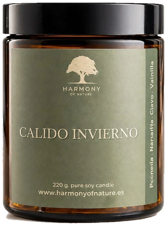 Vela aromática Cálido Invierno de cera de soja, con canela, naranja, clavo y vainilla