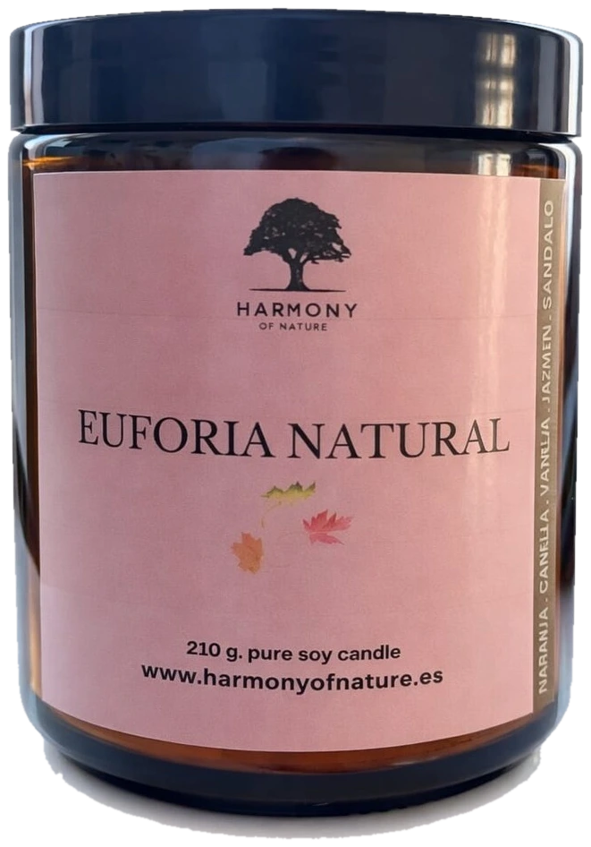 Vela aromática Euforia Natural de cera de soja, con magnolia, canela, vainilla y jazmín
