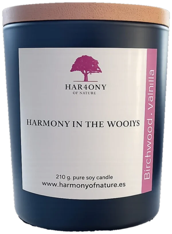 Vela aromática Harmony in the Woods de cera de soja, aroma a madera de abedul y vainilla