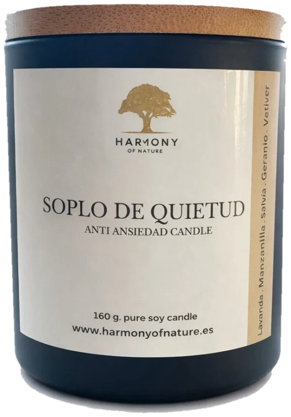 Vela aromática Soplo de Quietud de cera de soja, con lavanda, manzanilla y salvia